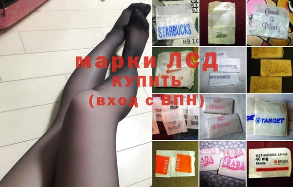 spice Алзамай