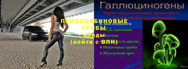 spice Алзамай