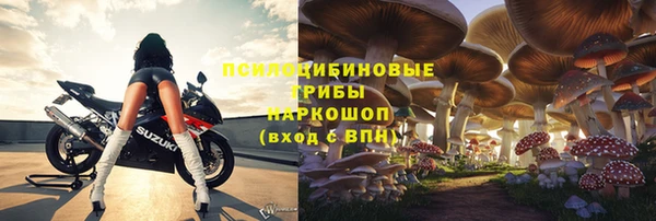 гидра Алексеевка